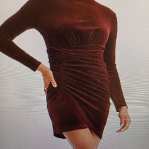 Express velvet dress